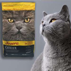غذای خشک گربه جسورا کاتیلوس سوپر پریمیوم 2 کیلو