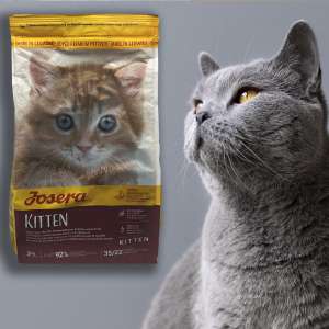 غذای خشک گربه جسورا کیتن سوپر پریمیوم 2 کیلو