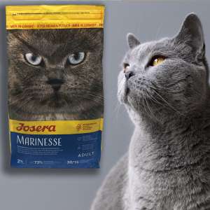 غذای خشک گربه جسورا مارنیس سوپر پریمیوم 2 کیلو
