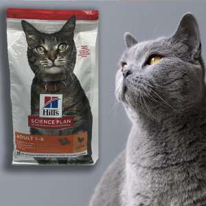 غذای خشک گربه هیلز ادلت ( 0-6)  1.5کیلو