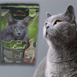 غذای خشک گربه لئوناردو سینیور 2 کیلو