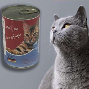 غذای کنسروی گربه بی وای کت (ماهی) 400 گرم