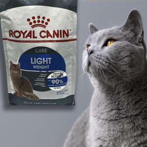 غذای خشک گربه رویال کنین لایت 1.5 کیلو