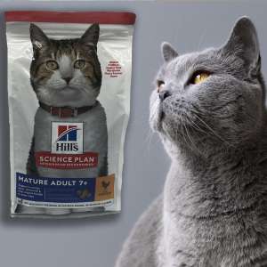 غذای خشک گربه هیلز ادلت ( 7 به بالا)  1.5 کیلو