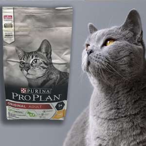 غذای خشک گربه  پروپلن درمان کلیه 1.5 کیلو
