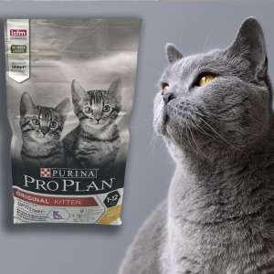 غذای خشک گربه  پروپلن درمان دستگاه گوارش 1.5 کیلو